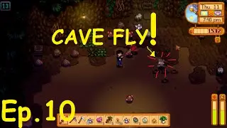 Stardew Valley  Ep.10 - CAVE FLY SWARM! D: