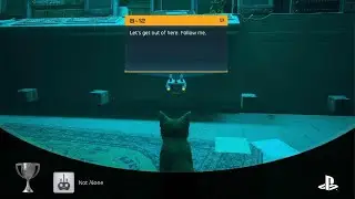 Not alone achievement in Stray