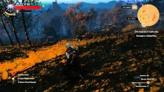 The Witcher 3 WXGA++ HD+ 900p AMD Athlon&trade; II X4 631 2,6 GHz + GeForce GTX 660
