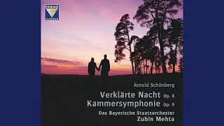Verkl&auml;rte Nacht, op. 4 &ndash; Arrangement for string orchestra by the composer: I. Grave