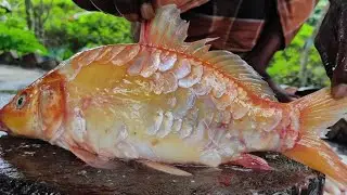 Big Golden Minar Carp Fish Cutting Skills In Kasimedu Fish Market 