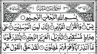 Surah Yaseen | Recitation 💯👌Most beayoutiful reaction (Voice) Translation
