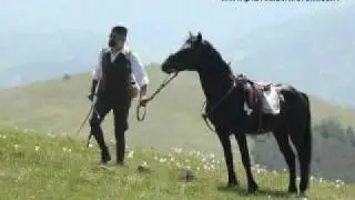 Ray Lema & Prof. Stefanov - Pirinska Krasota