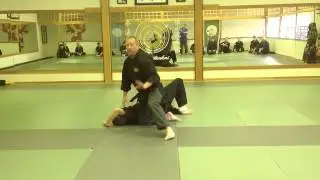 Ken Ju Ryu Kenpo Jujitsu. Kodenkan Danzan Ryu. Shihan Russ Rhodes