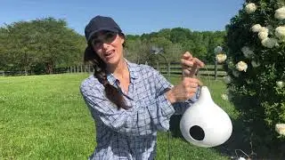 How to Make Purple Martin Houses: Super Easy!