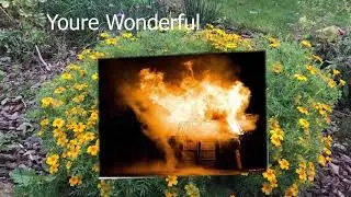 You're Wonderful | Richard Fordham