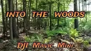 FLYING LOW IN THE TREES with dji mavic mini drone