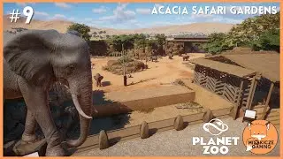 African Elephant Habitat | 🏜️ACACIA SAFARI GARDENS | Ep. 9 l Planet Zoo 🦒