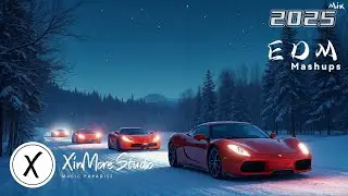 Future Bass Mix 2025 🎵 Top Hits Remixes 🎵 Bass Anthems