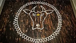 Maattu pongal rangoli | Kolam 11