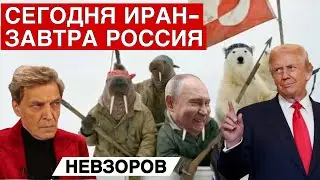 НЕВЗОРОВ только важное и интересное