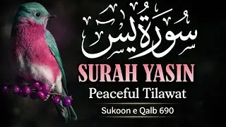 Surah Yaseen | Heart Touching Tilawat for Peace, Rizq & Forgiveness | 2026