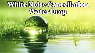 Water Drop Sounds for Relaxing, Sleep, Focus, or Stress Free | White Noise Cancellation | 1 Hour