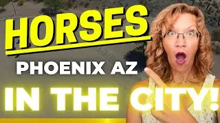 Homes with Horses in Phoenix AZ / Horse Properties in the City / Phoenix AZ / Ahwatukee AZ