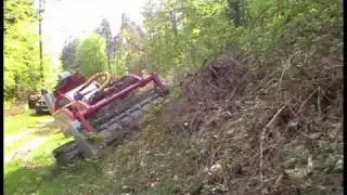 LUF - bush-fighter with forestry mulcher Rechners UL