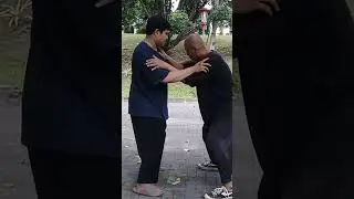 Always go back to basic, V7 #Taijiquan#Taiji37Cmc#ZDCJ
