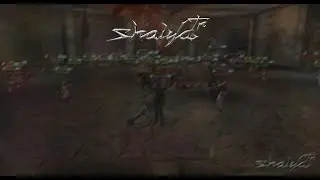 Shaiya Türkiye - Zindan PvP