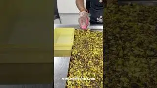 Honey Khajoor Meva Winter Special Sugar Free Sweet By Madhudhara Honey House-Rajkot