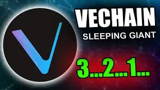 Can Vechain Make You A Millionaire 2021? Vechain VET Prediction