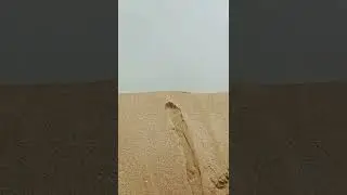 #Rajasthan ret #nature #sound #short videos