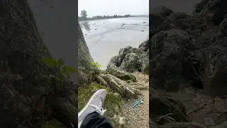Segoro kidul #segoro #kidul #mitosjawa