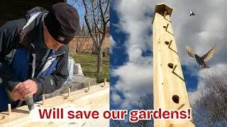 Build Your Own 5-Story Multi-Apartment Birdhouse!