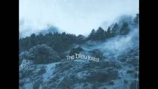 The BLeu Forest  
