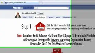 Social Media for Business: Get them to like your Facebook fanpage