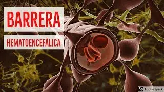 Barrera hematoencefálica en 3 minutos