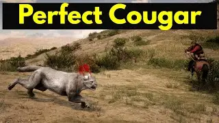 Perfect cougar Red Dead Redemption 2