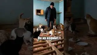 Самые добрые новости