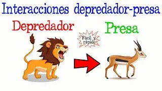 🐅Interacciones Depredador-Presa🐺  [F&aacute;cil y R&aacute;pido] | BIOLOG&Iacute;A |