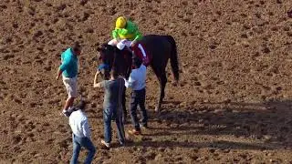 2019 PEGASUS WORLD CUP TURF INVITATIONAL