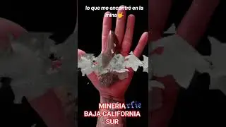 COLMILLO #automobile #ㅇyㅇ #hiphop #humor #foryou  #rap #farming #unpocodetuamor #coal #futbol