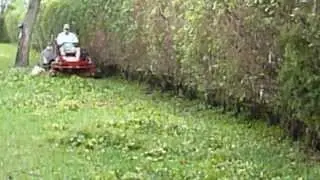 Vulcher mulching hedge