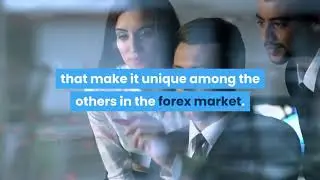 Weltrade Broker Review for South Africans