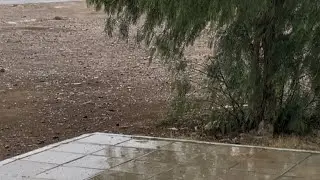 طلعة جميلة خفيفة ممطرة في منتزة مربع 2025/7/30🌧️