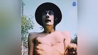 Fleetwood Mac - Mr. Wonderful Full Album (1968) Remastered