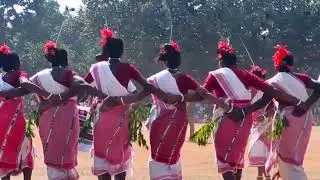 आदिवासी नृत्य   India Tribal traditional festival and jumar dance