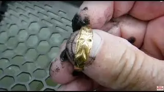Double Gold in the Scoop!