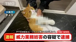 【🚨速報】タマ王容疑者(３) が威力業務妨害の容疑で逮捕