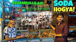 Alhamdulillah naseeb ka soda hogya mandi loot li 🐂😍
