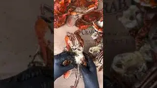 How To Pick A Maryland Blue Crab