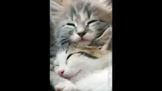 Please watch...from sandrateager