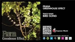 Prana - Bird Song