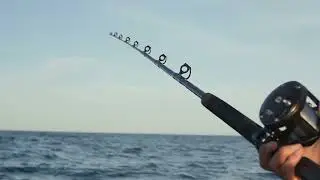 da fellas fishing sea fish slow motion 13/06/2022.  history made today