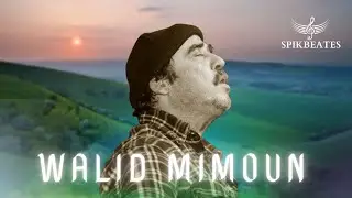 Walid Mimoun - Aqbouch (Riffian SoulInstrumental) -(PROD . Spik beats)