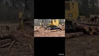 The 5 step process of logging.🪵 #forestry #caterpillarequipment #logging 