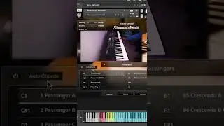 Session Guitarist First Play #nativeinstruments #sessionguitarist #music #firstplay