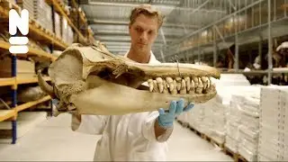 Pepijn Kamminga stelt zich voor. Nominatie Museumtalent 2017.